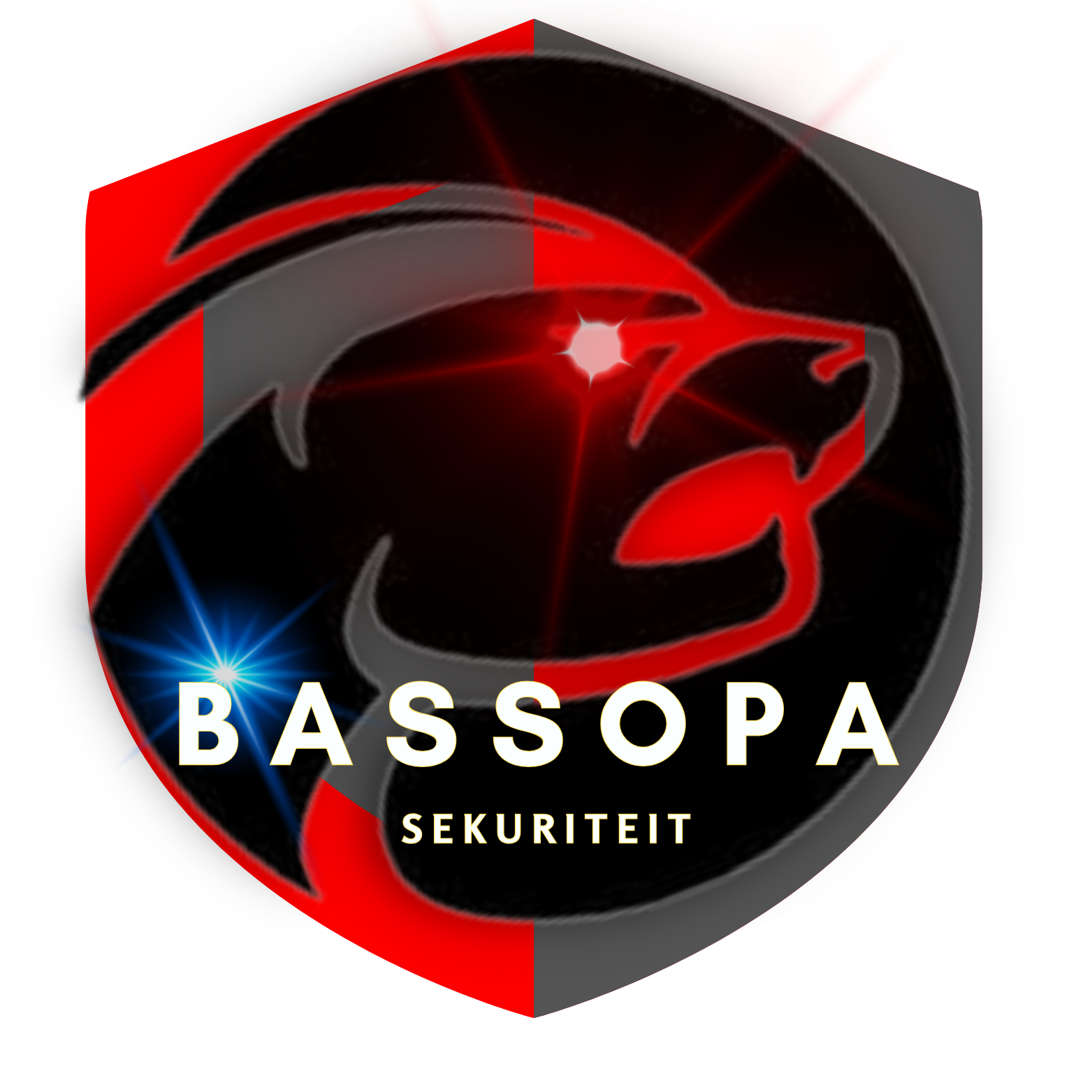 Modern-Security-Logo-1